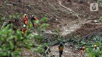 Tim SAR gabungan berusaha mencari sisa korban tanah longsor akibat gempa Cianjur di kawasan Cugenang, Kabupaten Cianjur Jawa Barat, Jumat (25/11/2022). Upaya pencarian korban terpaksa dihentikan sementara akibat hujan. (Liputan6.com/Helmi Fithriansyah)