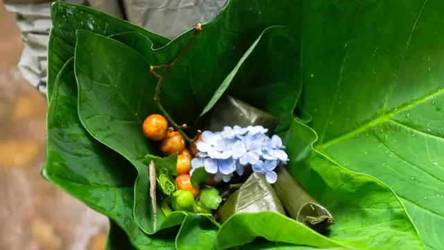 Locavore NXT Bali