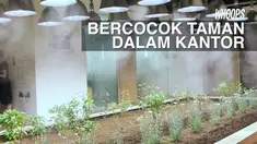 Konsep hijau diterapkan di kantor ini. Tanaman padi hingga tanaman sayur tumbuh subur dan dapat dipanen karyawannya