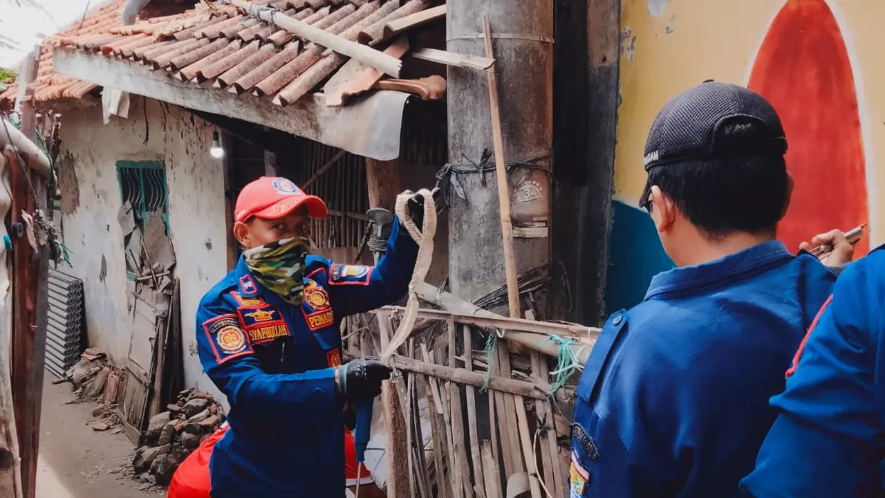 Rumah tua di Tangerang jadi sarang ular kobra