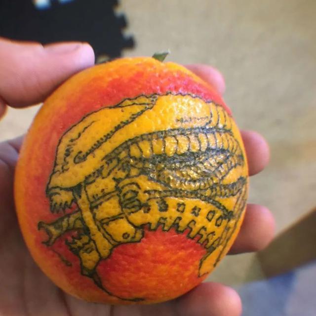 7 Potret Tato di Buah Jeruk Ini Menakjubkan, Punya Manfaat Tak Terduga