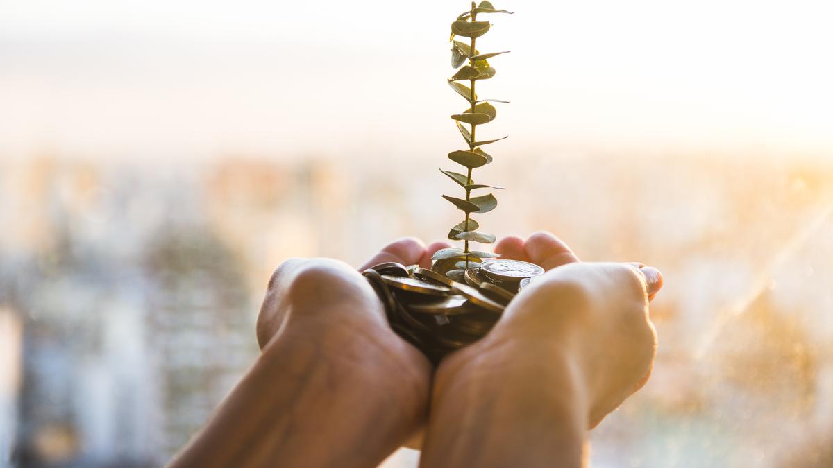 Mengenal Apa Itu Investasi, Berikut Panduannya untuk Para Pemula