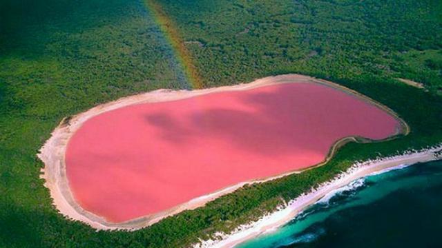 Terkuak, Misteri Danau Pink di Australia - Global Liputan6.com