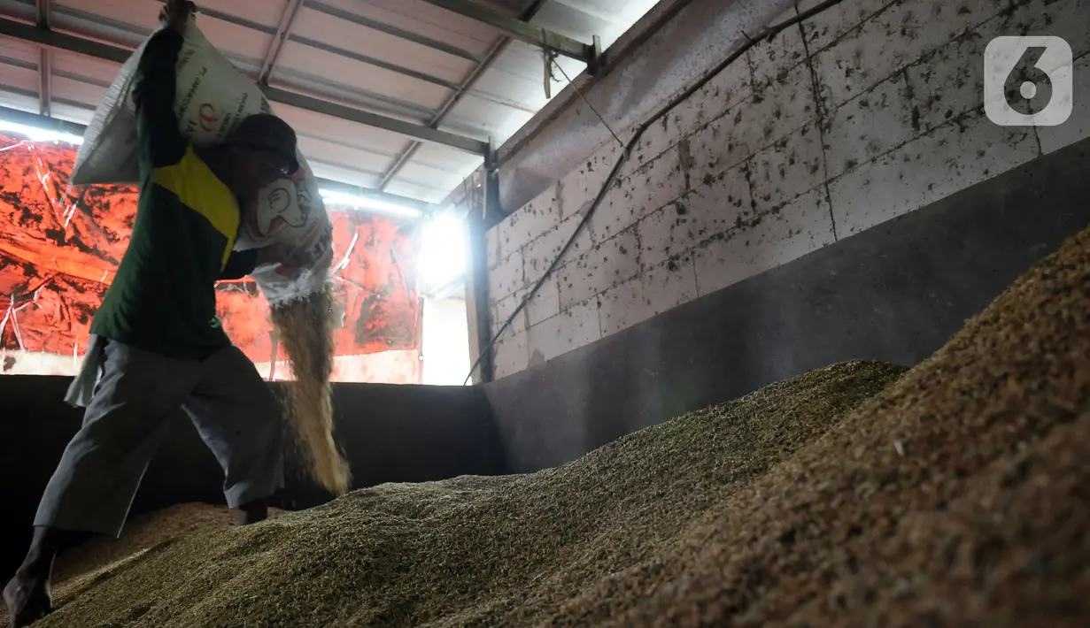 Rata-rata kenaikan sebesar Rp 7.000 per kilogram untuk gabah kering. (merdeka.com/Imam Buhori)
