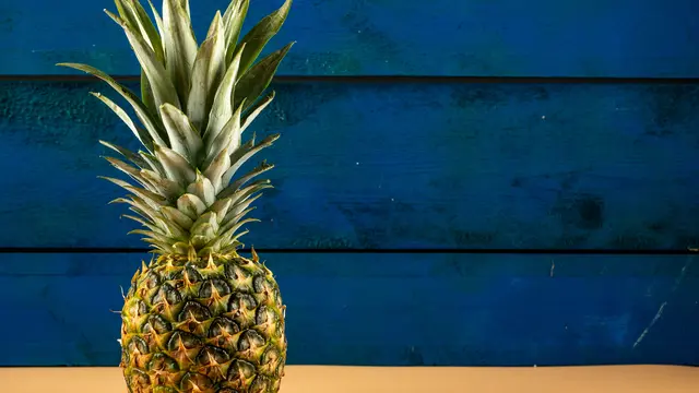 Ilustrasi nanas/freepik.com/azerbaijan_stockers