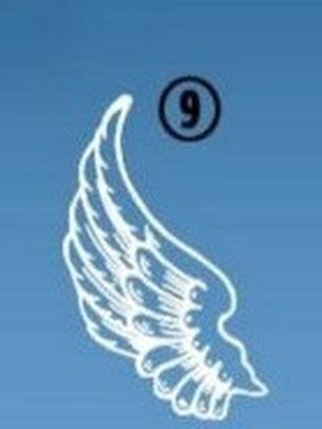 Tes Kepribadian, Pilih Satu Gambar Sayap Ini Dapat Ungkap Jati Diri