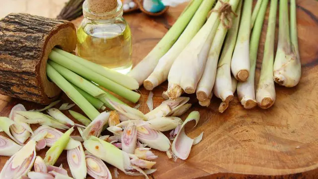 Sereh, Bahan Alami untuk Mengusir Serangga