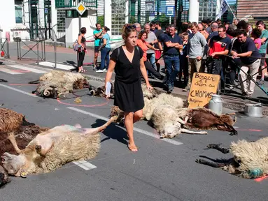 Seorang wanita berjalan melewati domba-domba yang mati oleh serangan beruang di sub-prefektur Bayonne, Prancis, Senin (2/9/2019). Petani memprotes meningkatnya serangan beruang terhadap kawanan domba di pegunungan Pyrenees. (AP Photo Bob Edme)