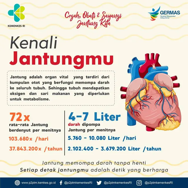 Infografis jantung kemkes