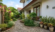 8 Tanaman Penyerap Panas untuk Samping Rumah yang Mudah Dirawat Sekaligus Percantik Tampilan Hunian