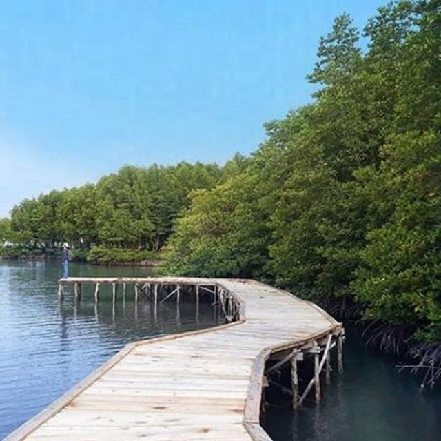 Kawasan Wisata Pesawaran Lampung Dipastikan Tak Terdampak