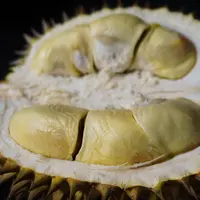 Buah Durian (Foto: najibzamri/pixabay)