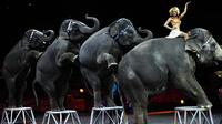Mulai sekarang kamu nggak akan pernah melihat sirkus di Amerika Serikat mempertontonkan pertunjukan gajah.