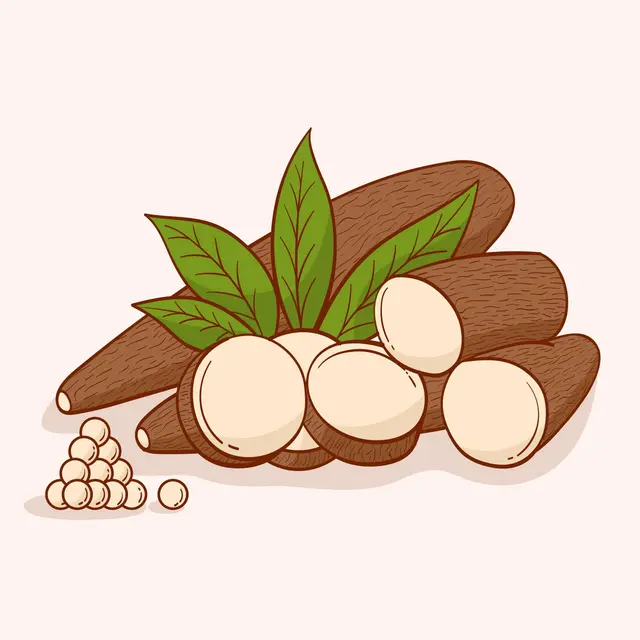 Ilustrasi singkong