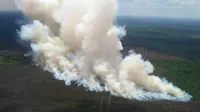 Asap kebakaran lahan gambut di Kabupaten Pelalawan membumbung tinggi ke udara. (Liputan6.com/M Syukur)
