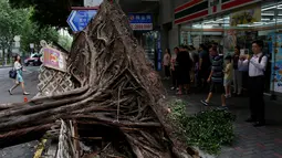 Warga mengambil foto pohon yang tumbang akibat angin yang kuat di Hong Kong, China, 2 Agustus 2016. Angin kencang berkekuatan 151 kilometer per jam itu membuat bandara, sekolah dan perkantoran tutup. (REUTERS/Tyrone Siu)