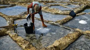 Alfred Attard mengumpulkan garam laut dari dataran garam dengan pematang batu di sebuah desa di Gozo, Malta, pada 7 September 2020. Dikelilingi seluruhnya oleh laut, Malta merupakan salah satu produsen besar garam laut yang dihasilkan dari dataran garam berpematang batu. (Xinhua/Jonathan Borg)