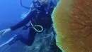 Prilly juga mengunggah potret dirinya di bawah laut untuk pertama kalinya. Dengan mengunakan pakaiak lengkap untuk menyelam. (@prillylatuconsina96)