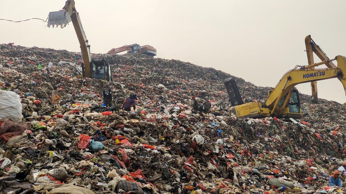 Optimalkan Pengelolaan Sampah, Pemkot Depok Luncurkan Gerakan D'GoBer Berita Viral Hari Ini Kamis 19 September 2024