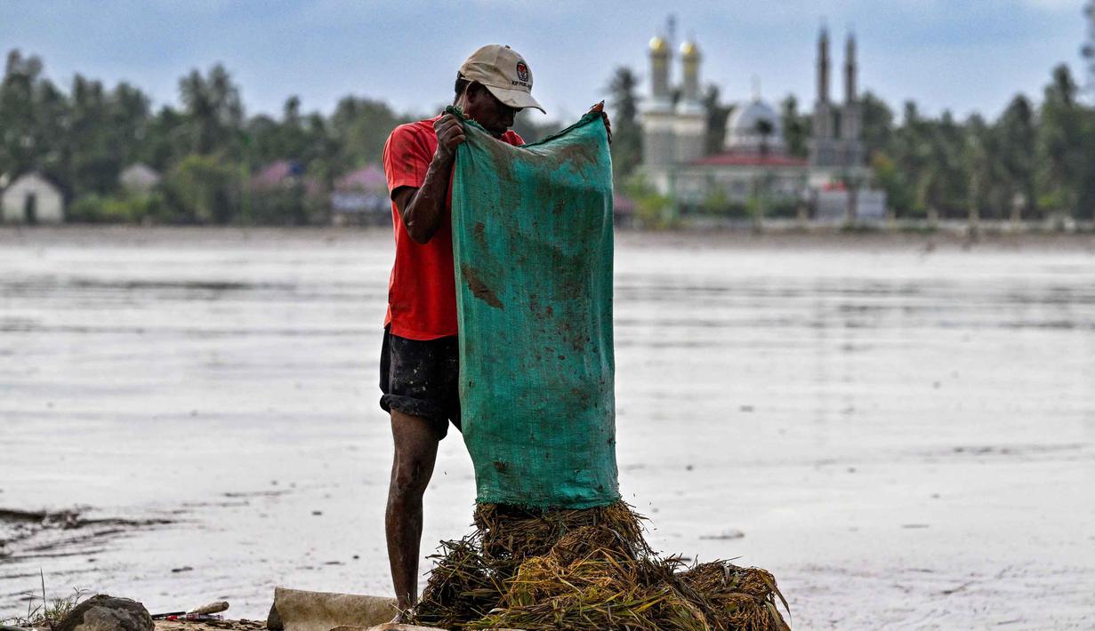 Banjir bandang yang menerjang wilayah Meureudu, Kabupaten Pidie Jaya, Provinsi Aceh merendam ribuan hektare sawah dan lahan pertanian. Tampak dalam foto, seorang petani mengeringkan padi di samping sawah yang terendam lumpur setelah banjir bandang di Meureudu, Kabupaten Pidie Jaya, Provinsi Aceh, pada Senin 8 Desember 2025. (Chaideer MAHYUDDIN/AFP)
