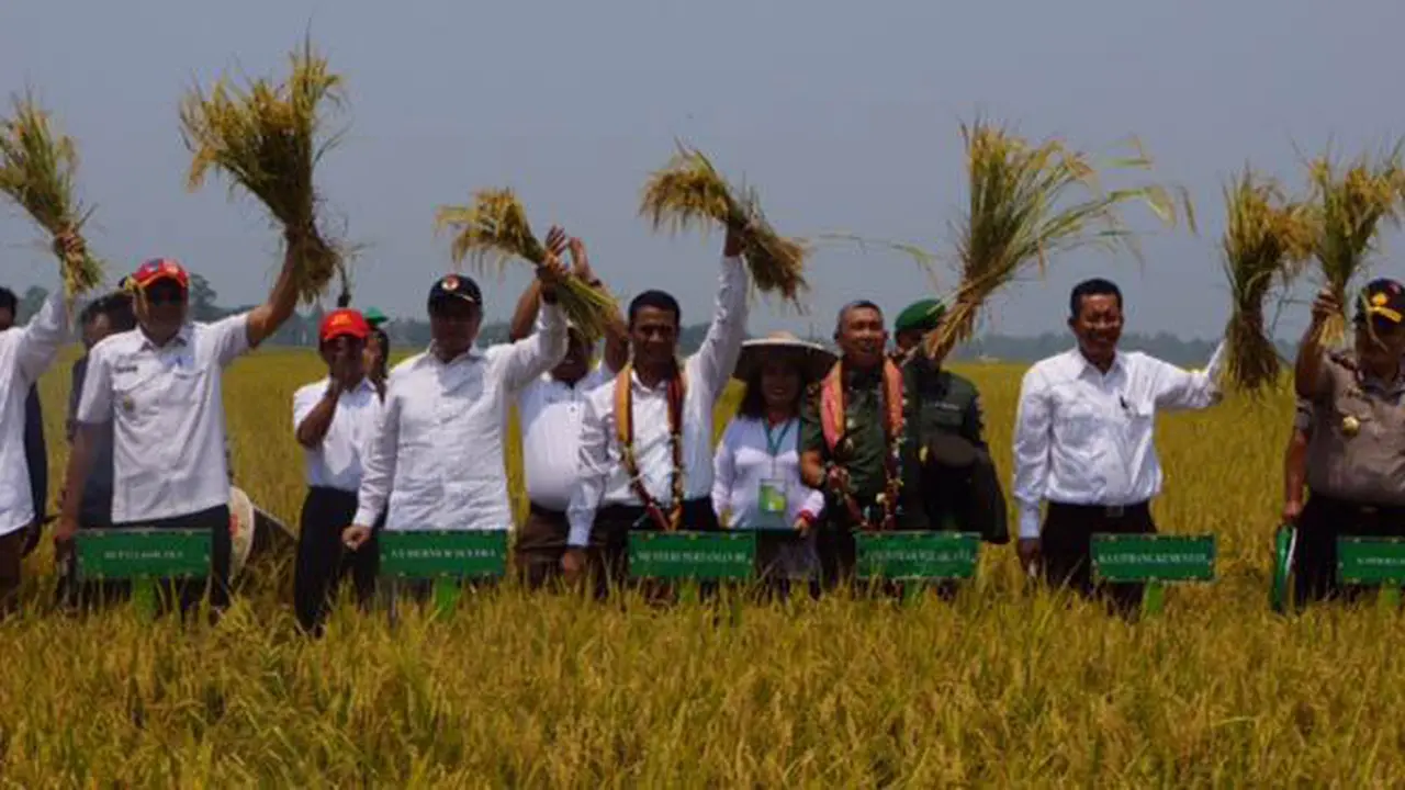 Relawan Jokowi Puji Kinerja Kementan Naikkan Produksi Pangan