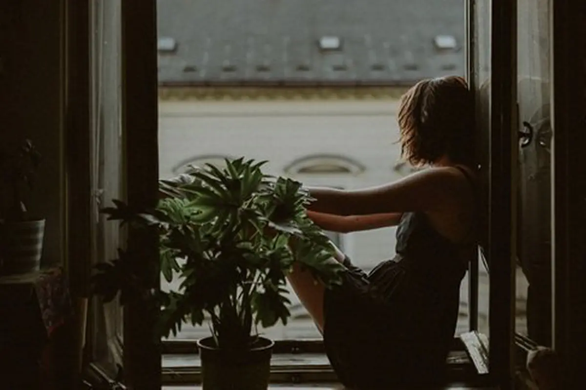 Ilustrasi/copyright unsplash.com/@all_who_wander
