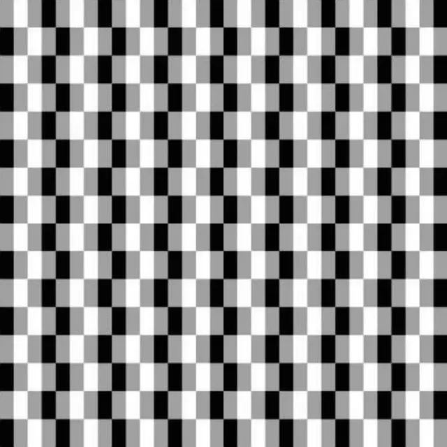 6 Ilusi Optik Bentuk Papan Catur Hitam Putih Ini Bikin Pusing