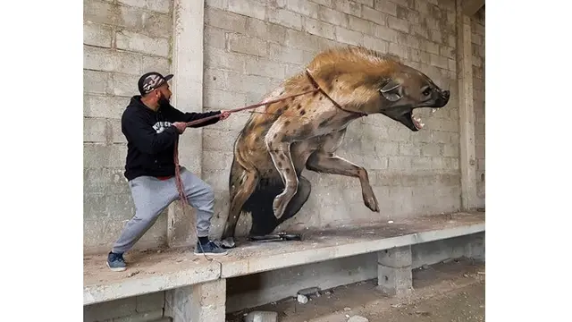Terlihat Nyata, 7 Hasil Ilustrasi Mural 3D Ini Bikin Geleng Kepala