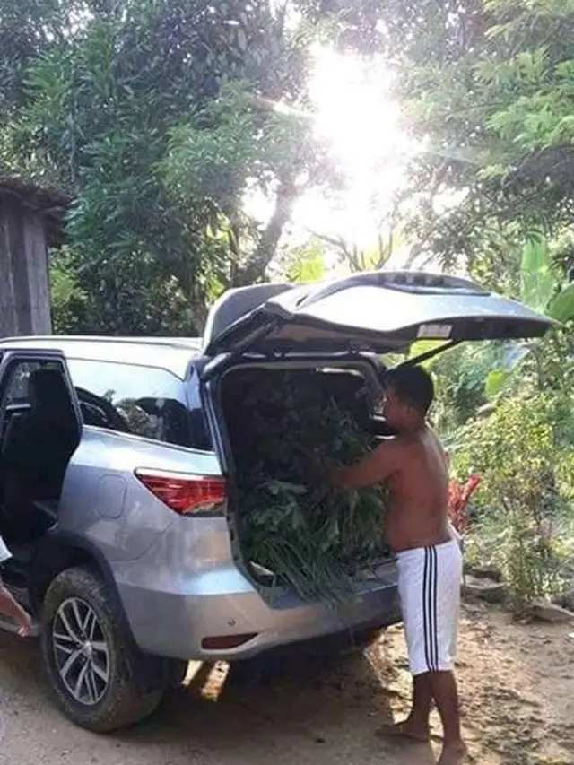 6 Potret Alih Fungsi Mobil untuk Pekerjaan di Sawah Ini Nyeleneh Banget