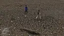 Anak-anak bermain di atas tanah retak Situ Cilodong, Kalibaru, Depok, Rabu (30/9/2015). Musim kemarau panjang menyebabkan situ Cilodong di Kelurahan Kalibaru, Cilodong mengalami kekeringan. (Liputan6.com/Yoppy Renato)