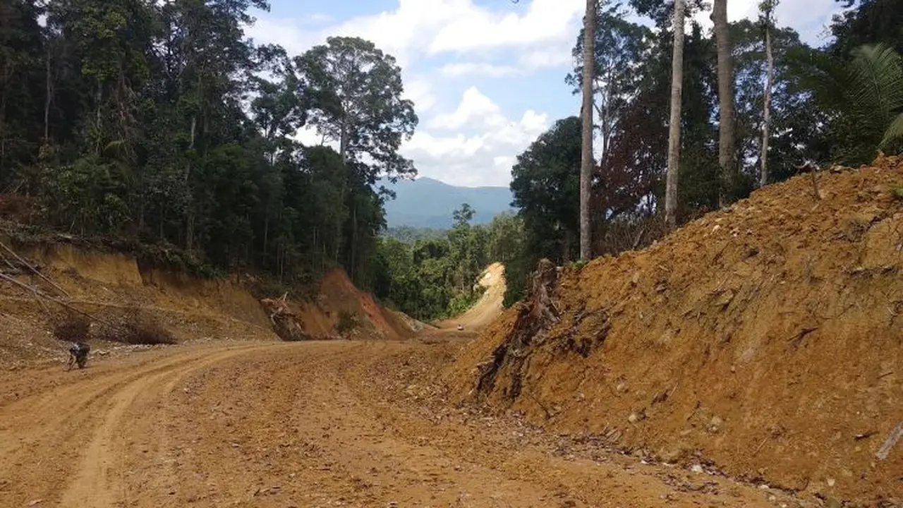 Kementerian PUPR terus melanjutkan pembangunan jalan paralel perbatasan di Kalimantan. (Maul/Liputan6.com)