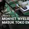 Monyet "Nyelonong" Masuk Toko Emas