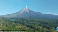 Gunung Semeru erupsi lima kali, dengan tinggi letusan mencapai 900 meter (Istimewa)