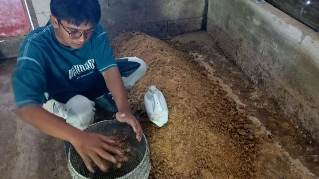 Pertanian Bukan Hanya untuk Lulusan Pertanian