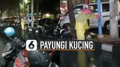 Video aksi perempuan payungi kucing liar yang sedang makan saat hujan viral di media sosial.
