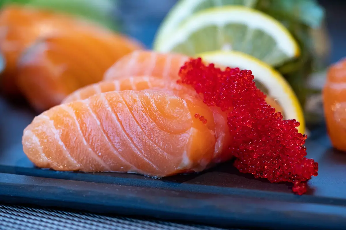 Ikan Salmon