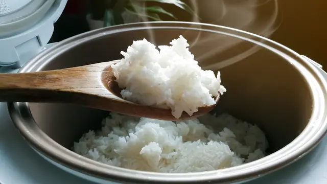 rice cooker