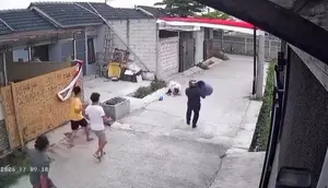 Detik-detik Pitbull Serang Anak Perempuan 9 Tahun di Bandung