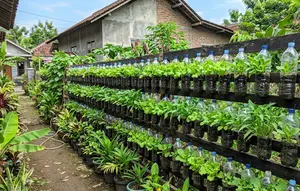 7 Desain Kebun Mini di Pagar Rumah Pakai Botol Plastik yang Mudah Dibuat
