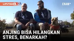 Berdasarkan data pemerintah federal, sedikitnya 5% warga dewasa AS mengalami gangguan stres pascatrauma atau PTSD, dan angkanya jauh lebih tinggi untuk veteran Perang Irak dan Afghanistan. Beragam program dikembangkan organisasi advokasi veteran, di ...