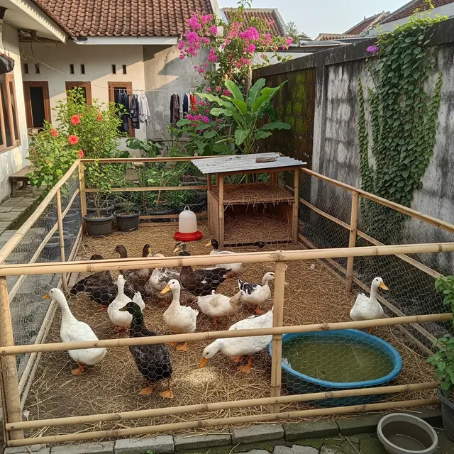 9 Usaha Ternak Minim Perawatan, Peluang Cuan