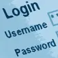 Ilustrasi Password
