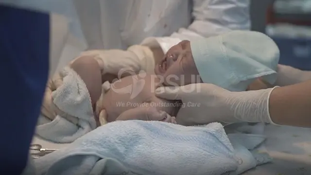 Istri Lutfi Agizal Melahirkan