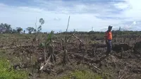 Kondisi terakhir Karhutla di Aceh (Ist)