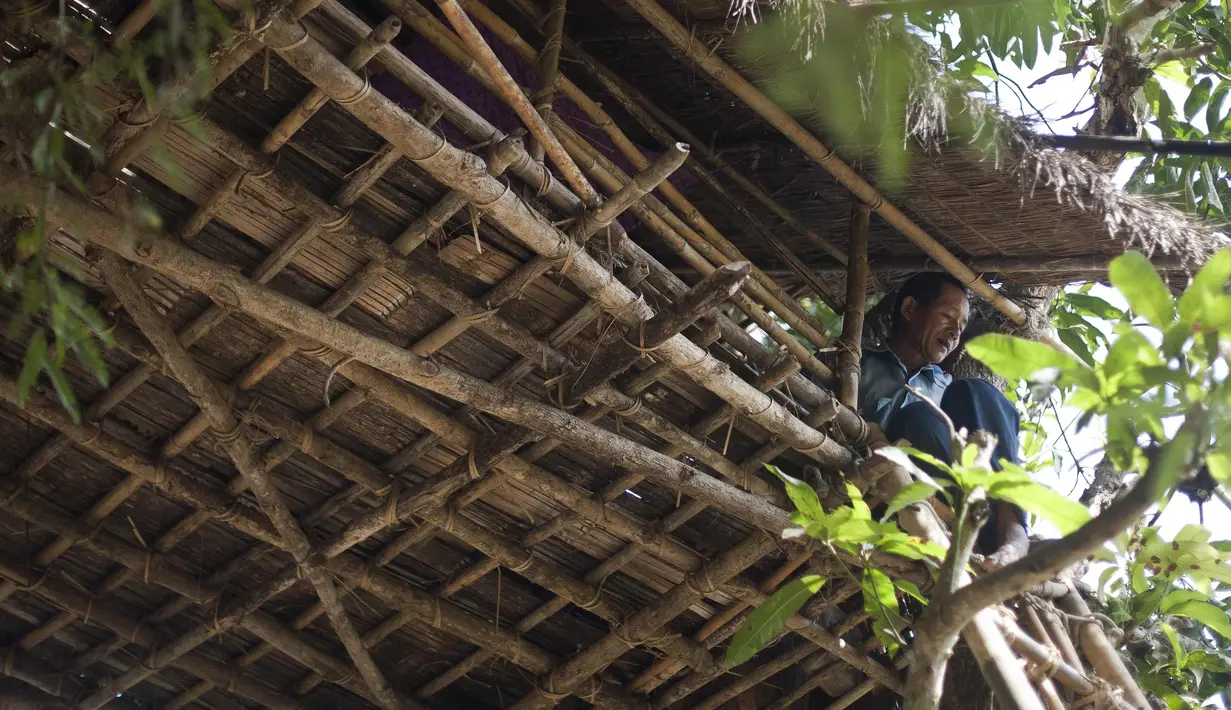 Seorang pria duduk di atas rumah pohon di desa Taik Kyi, Myanmar, 14 Januari 2016. Warga di desa ini terpaksa membuat rumah pohon untuk tempat berlindung dari kawanan gajah liar yang belakangan ini kerap menyerang desa Taik Kyi. (AFP PHOTO/Ye Aung THU)