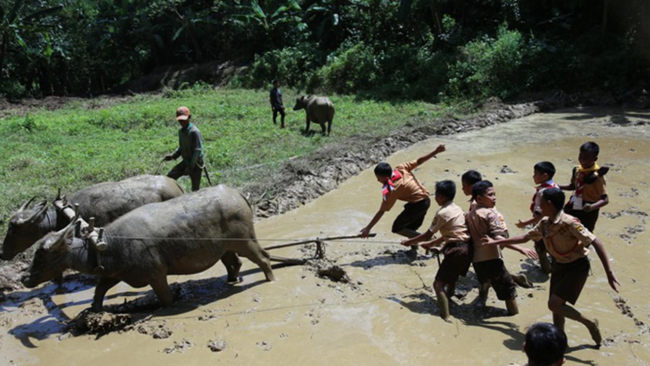 Astra Telah Tanam 200.000 Pohon untuk Lestarikan Bumi