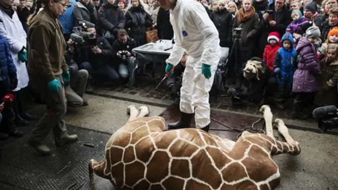 Foto: copyright dailymail.co.uk