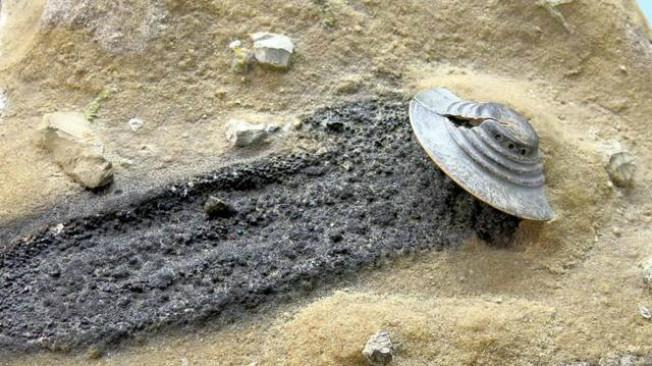 Ilustrasi jatuhnya UFO di Gurun Kalahari, Afrika Selatan, 1989. (Sumber Pinterest)