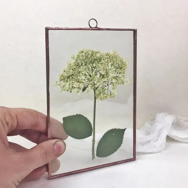 Wanita Ini Gemar Buat Bunga Herbarium, 7 Hasilnya Curi Perhatian
