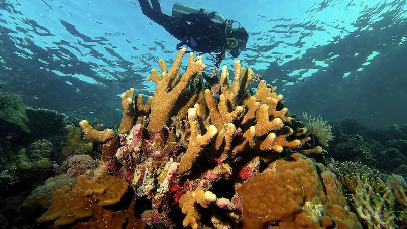 Taka Bonerate, Bukti Kalau Sulawesi Tak Hanya Punya Wakatobi